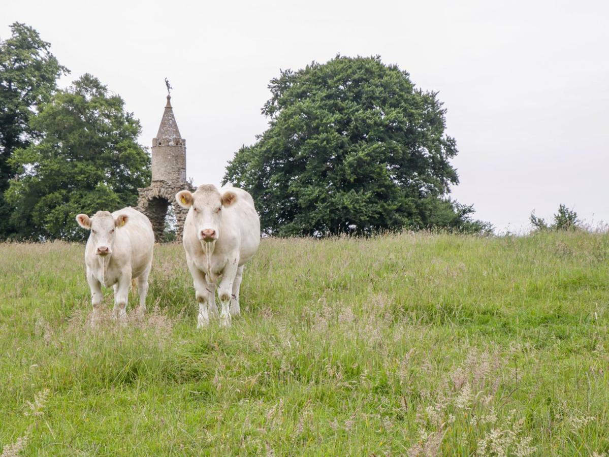 Vila The Milking Barn Yeovil Exteriér fotografie